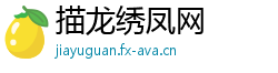 描龙绣凤网